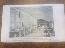 Antique Poultry 1920 Book Plate Rearing House Interior & Ideal Chicken situation