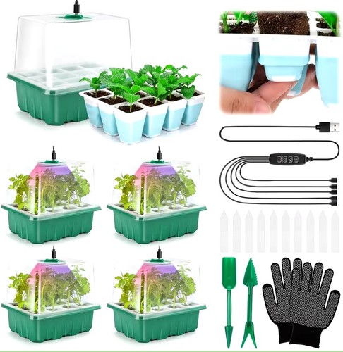 Plant propagator seed - seed, tray