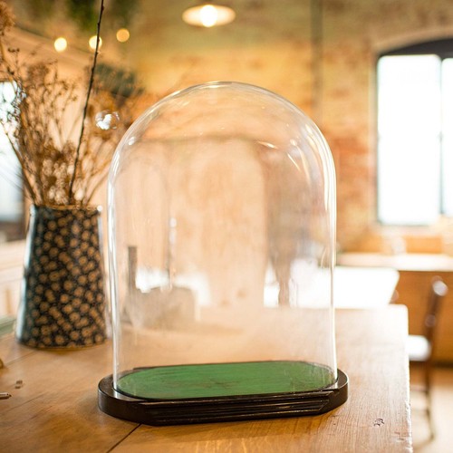 Antique ovoid display dome - display,