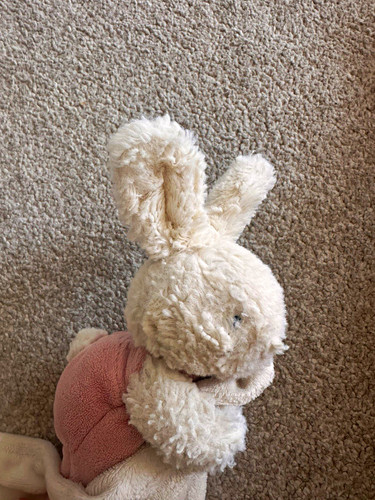 Jellycat bashful bunny - bashful,