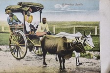 A Bombay Rickshaw, Vintage Postcard