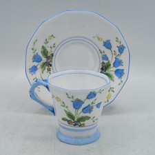 Tuscan China Plant ' Bluebell