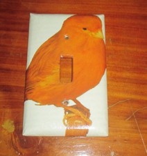 CLASSIC RED ORANGE CINNAMON