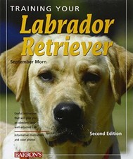 Training your labrador - your,