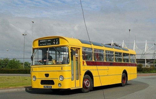 Colour bus photo leyland - colour,