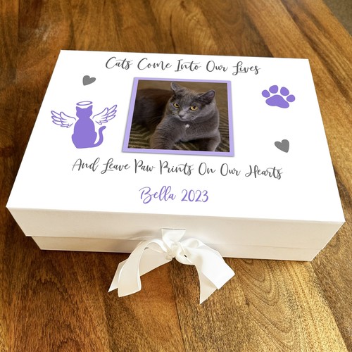 Cats leaves paw prints pet - cats,