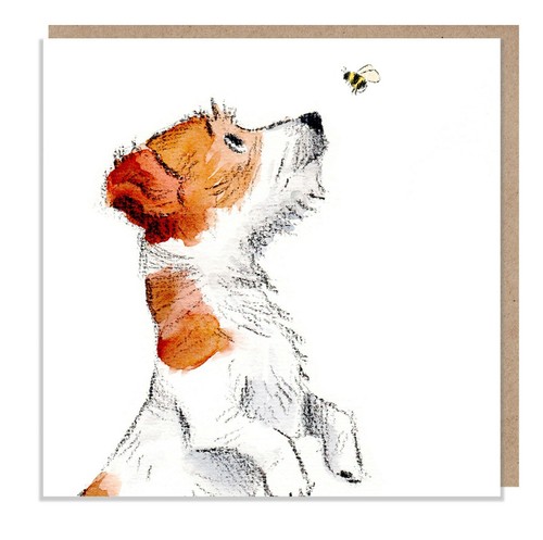 Blank card quality - card-, greeting