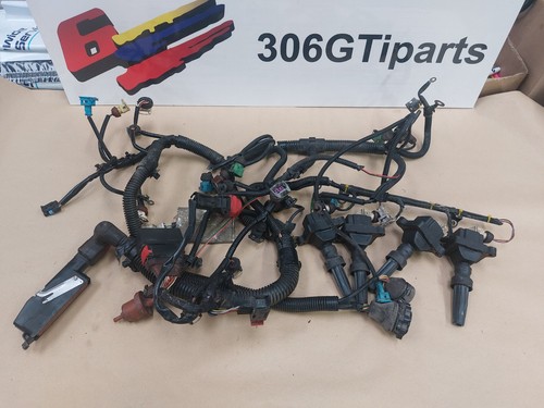Peugeot 306 gti6 engine wiring - gti6,