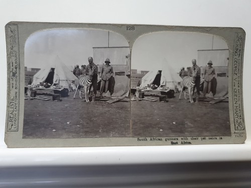 Stereoscope south africa - south,