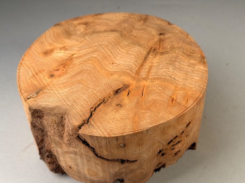 Burr elm wood turning - wood, bowl