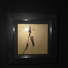 SUPER RARE real Preserved Crow