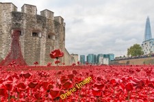 Photo 6x4 Tower poppies London