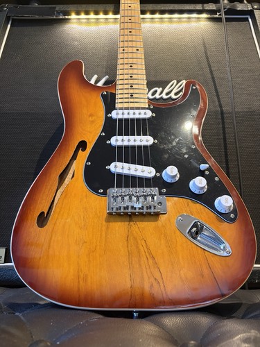 Semi hollow stratocaster - semi,