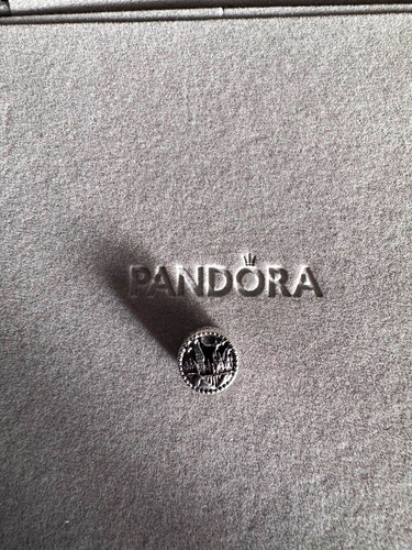 Genuine pandora harry potter - harry,
