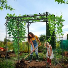 Garden Arch Trellis for