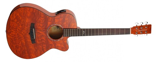 Tanglewood ta4cehn electro - tanglewood,