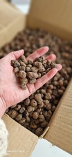 leca expanded clay balls