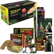 Exo Terra Crested Gecko