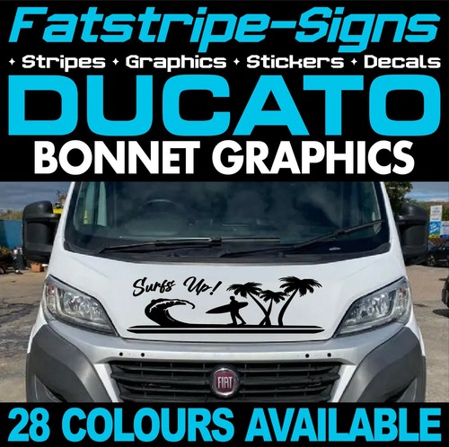 Fits fiat ducato graphics - fits,