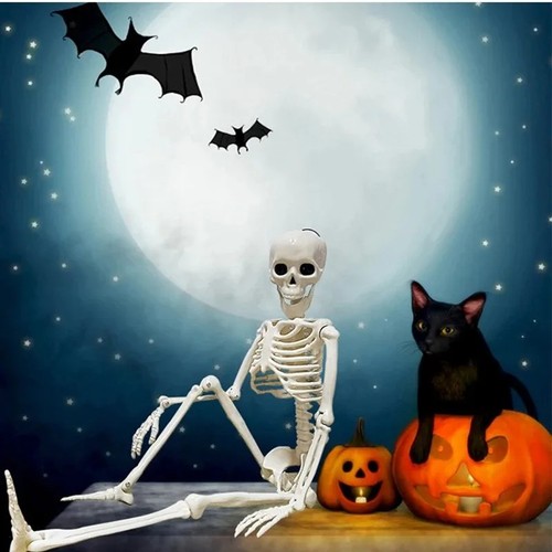 Full size halloween - halloween, skeleton