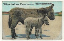 Novelty Fold Out Postcard When