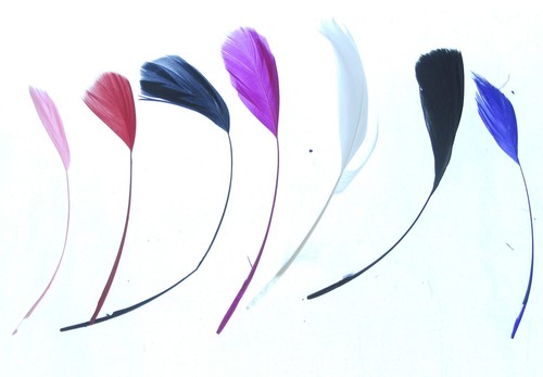 Long fascinators feathers - fascinators,