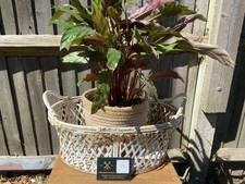 Vintage wrought iron - vintage, lattice