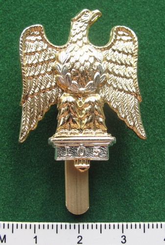 1st royal dragoons cap badge - royal,