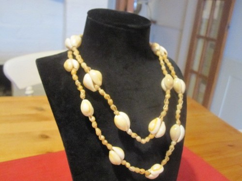 Vintage cowrie shell - vintage,