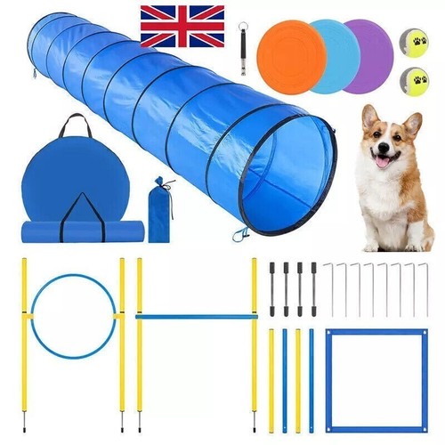 New dog agility - dog, set