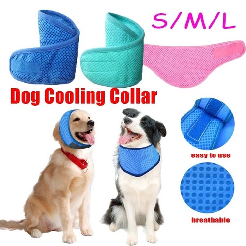 Dog cooling bandana - dog,