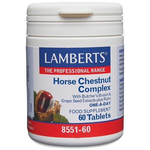Lamberts horse chestnut - horse,