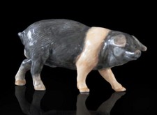 Pig Hand Painted Fine Bone