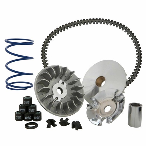 Polini p241719 variator - polini,