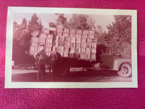 Transportation vintage photo - vintage,