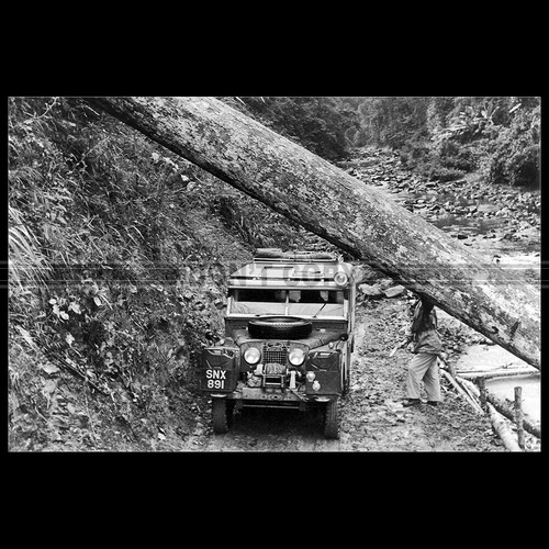 Photo 033781 land - land, rover
