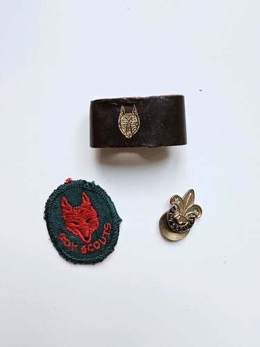 Vintage boy scouts - wolf, rank
