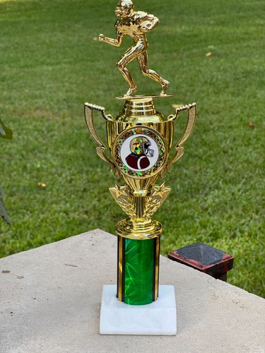 Fantasy football trophy - 12",