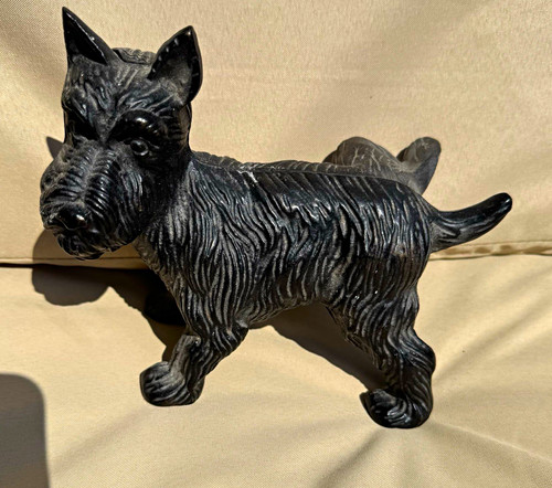 Black scottish terrier dog - terrier,