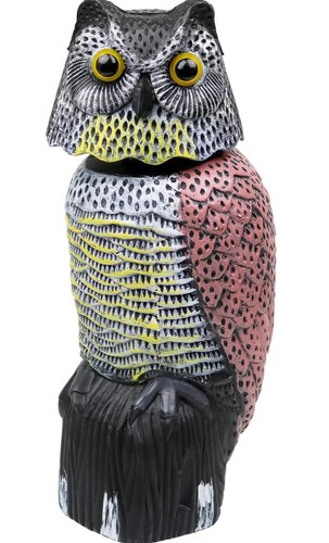Owl decoy statue - owl,