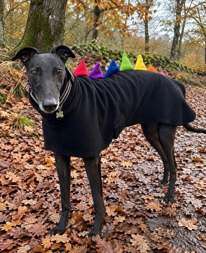 Greyhound dinosaur coat - dinosaur, •