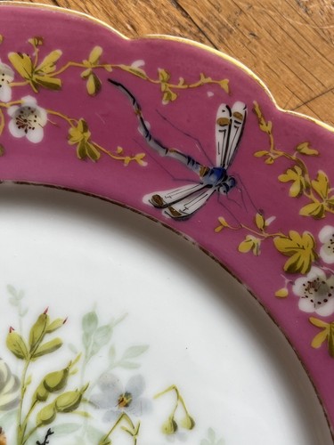 19th cabinet plates hand - 19th,