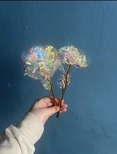 Brand New Iridescent Rainbow