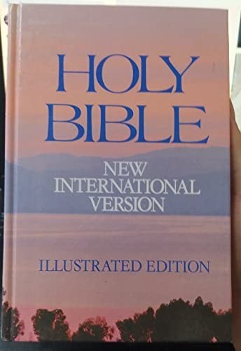 New international version - new,