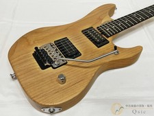 Washburn N4E NM Used Electric