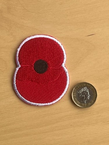 Remembrance day football shirt - day,