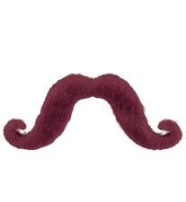 Handlebar moustache - handlebar, in