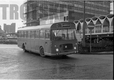35mm Black and White Negative