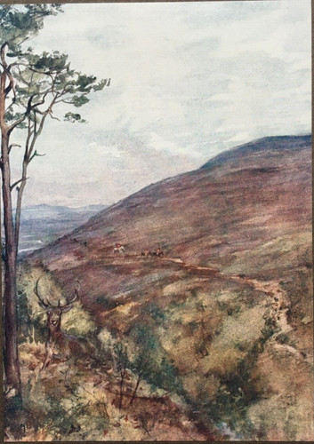 Stag hunting hill - -,