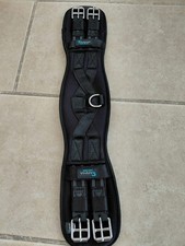 Shires ARMA Anatomical memory